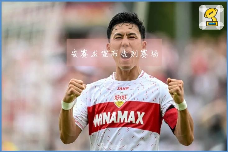 安赛龙宣布告别赛场
